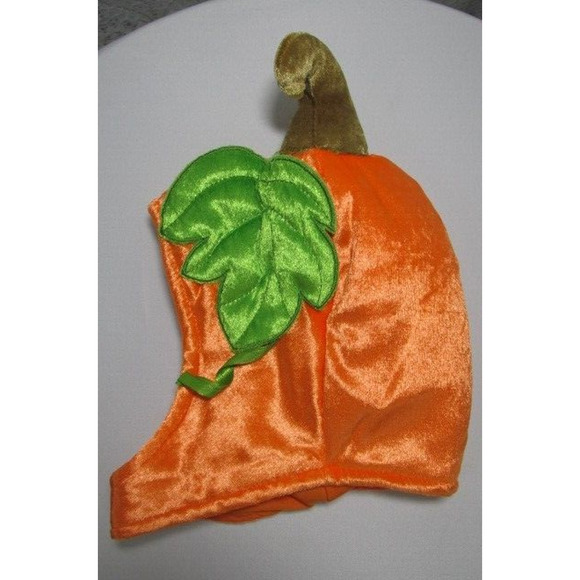 Cute As A Pumpkin Costume - Picture 7 of 10